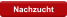 Nachzucht